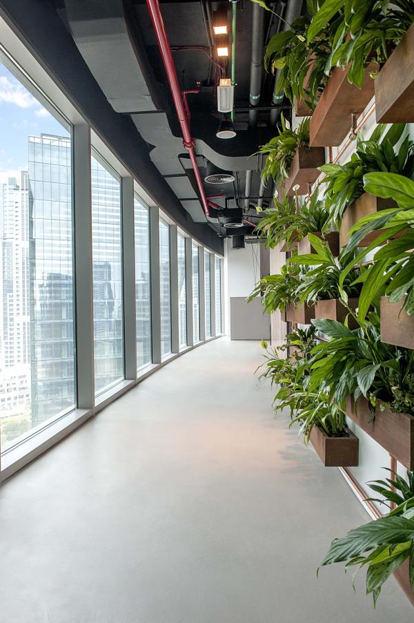 Corridor with floor-to-ceiling windows and a vertical planted wall, Man Corporate Office, Binary Tower by Omniyat, Business Bay, Dubai