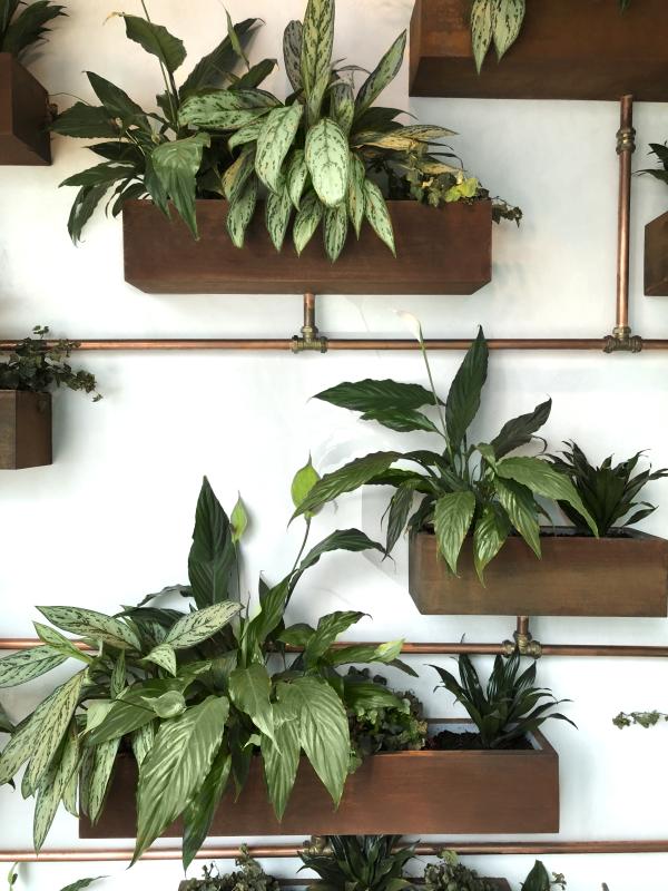 Wall-mounted planter shelves with potted greenery, Man Corporate Office, Binary Tower by Omniyat, Business Bay, Dubai