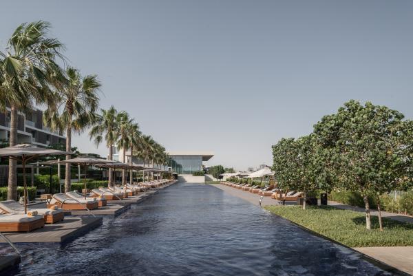 Pool deck lined with palm trees and sun loungers, Oberoi Resort, Ajman